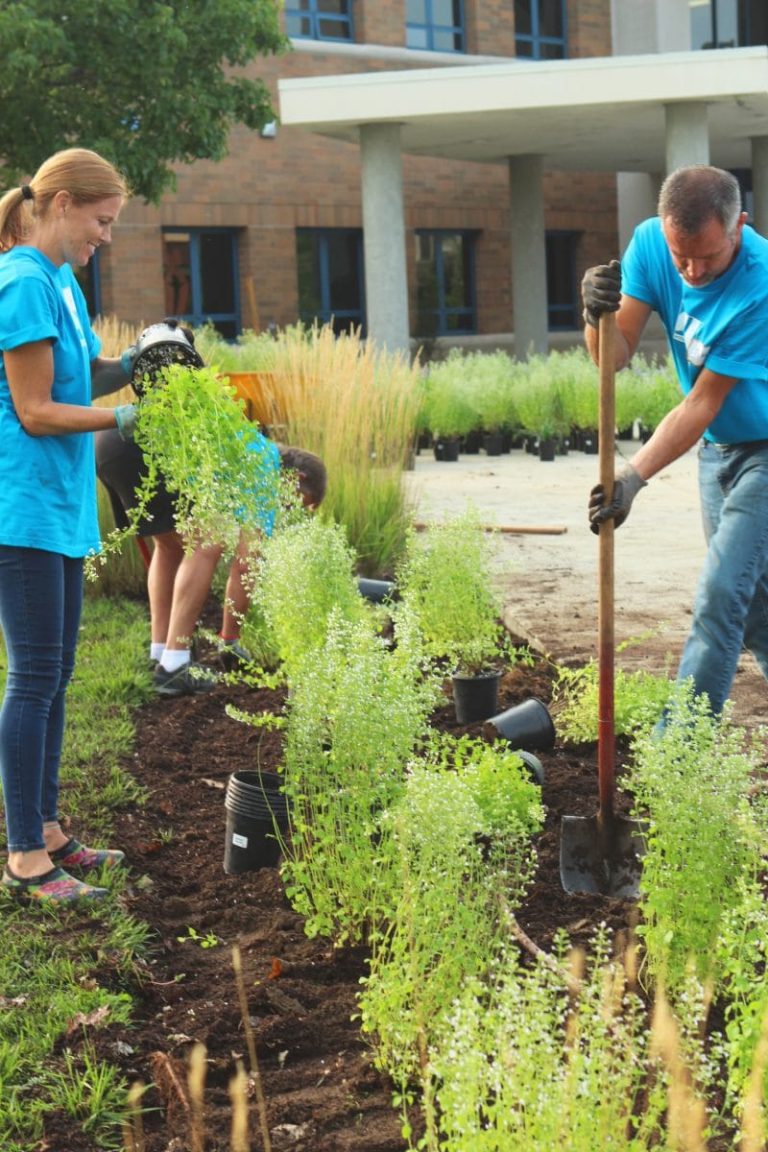 Volunteers planting trees