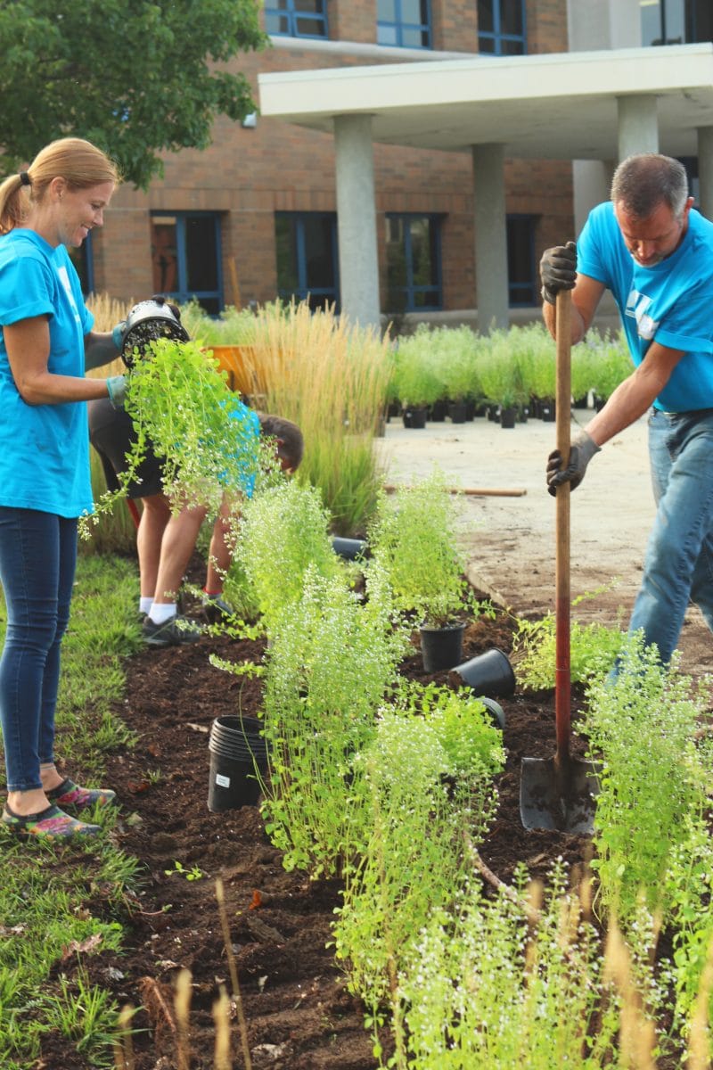 Volunteers planting trees